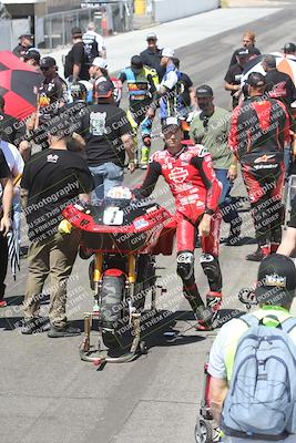media/Apr-26-2025-BRL Bagger Racing League (Sat) [[9e270f465f]]/9-Bagger GP and Pro Stock Race/